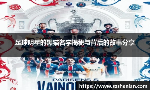 足球明星的黑猫名字揭秘与背后的故事分享